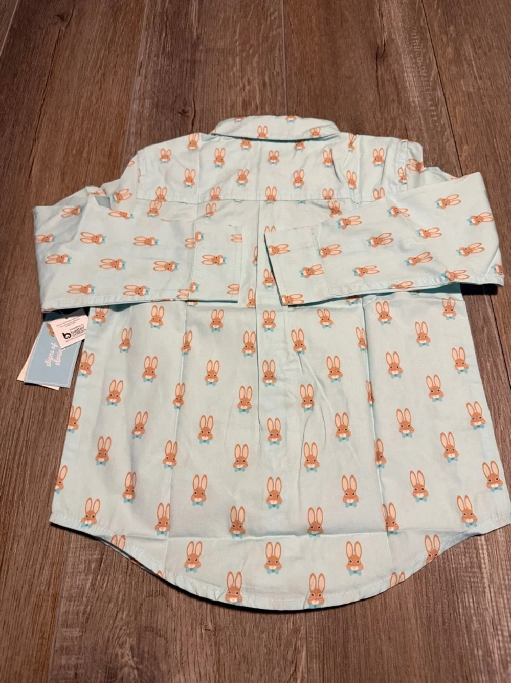 Gymboree Light Blue Button-Down Shirt with Orange Bunny Print